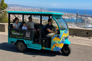 Private Electric Tuk Tuk Sightseeing Tour with Local Driver-Guide
