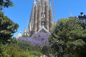 Sagrada Familia: tour guidato con accesso prioritario (gruppo ristretto)
