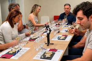 Tasting of 5 Mediterranean wines with a sommelier
