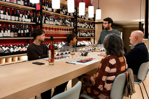 Tasting of 6 wines and 6 artisanal cheeses