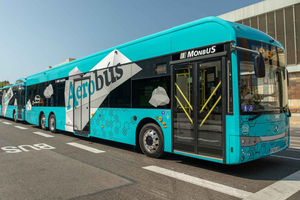 Transfer to/from Airport and City