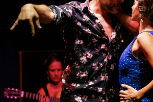 Valencia Old Town: Intimate Authentic Flamenco Show