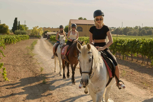 Vineyard Horse Ride + Tapas + Hotel Pickup