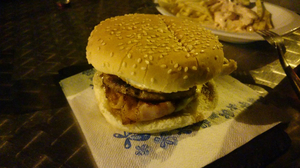 Bar Woodpecker's