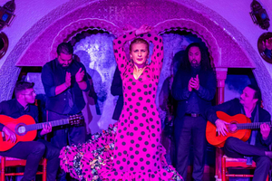 Tablao Flamenco Cordobes with Food/Drink Options