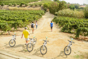 Private Alella Wine Tour by Electric Bike