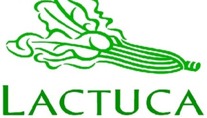 Lactuca Restaurant in Barcelona