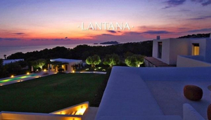 Lantana Premium