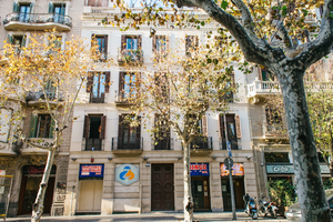ZOOROOMS {} Barcelona