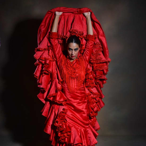 Inspiración - Flamencoshow in Teatro Flamenco