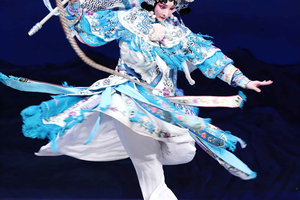 Acrobatics /Peking Opera Show with Guide