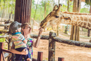 Peking: Badaling Wildlife Park och Kinesiska muren
