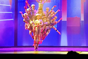 Beijing Acrobatics Show with Peking Duck & Tea Experience