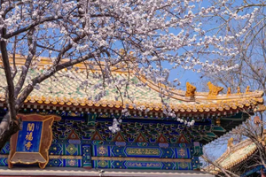 Beijing Beihai Park Tickets: Fast Track, Skip the Queue