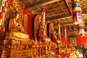 Peking: Lama-templet Lama Temple (Yonghe Temple) Biljett för inträde