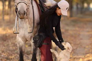 Beijing Overnight Layover: Countryside Horse Riding Tour