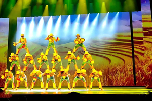 Experience World-Class Acrobats at Chaoyang Theatre