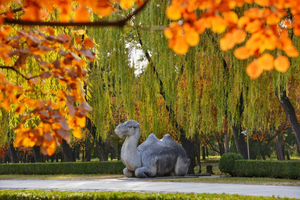 From Beijing - Huanghuacheng Great Wall & Ming Tombs Tour