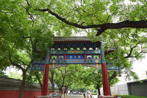 Peking: Pyöräilykierros hutongeissa, Laman temppeli ja rumputorni