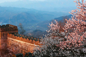 Pechino: tour della Grande Muraglia di Mutianyu (navetta inclusa)
