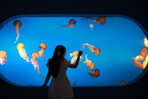 Pacific Underwater World Klasyczny morski świat