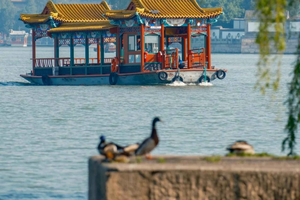 Pékin : visite du palais d'Été avec sortie en bateau et photos