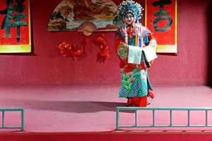 Tanghui Cultural Show Ticket (Direct Entry)