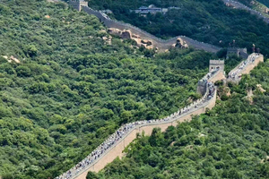 Temple of Heaven & Badaling Wall Tour（Including driver）