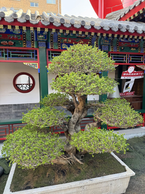 容园宾馆