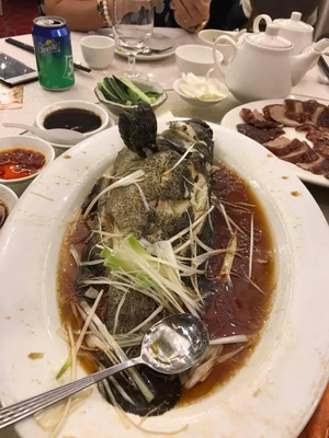 帅府鑫园酒楼