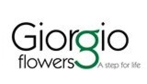 Giorgio Flowers