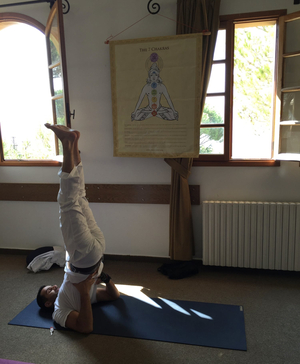 Health and Wellness Coach