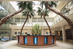 SPA Phoenicia