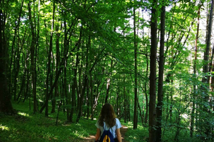 Belgrado: escursione nella foresta di Kosutnjak