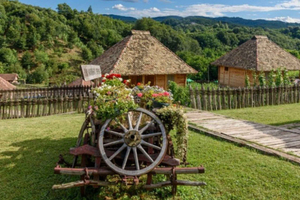 Belgrade: Tršić, Tronoša & Gučevo Private Day Tour