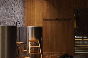Finnish Sauna and Cold Plunge Experience in Belgrade