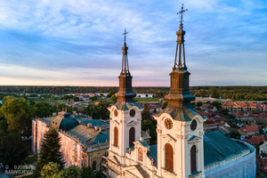 Da Novi Sad: Tour di Sremski Karlovci e del Monastero di Krusedol