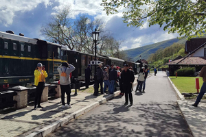 Da Zlatibor/Užice: Mokra Gora e Parco nazionale di Tara