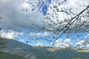 Taor Trail: 8 giorni di avventura a cavallo in Serbia