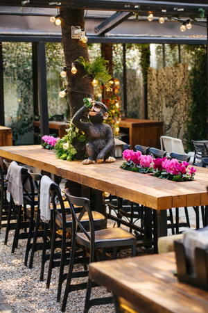 Monkey Bar Belgrade