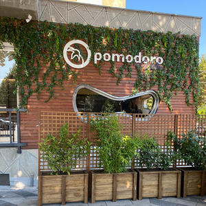 Pomodoro Vidin
