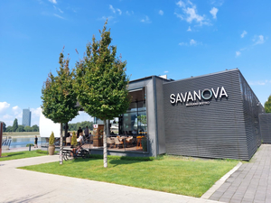 Savanova
