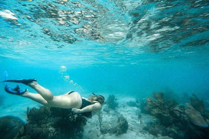 Réserve marine de Caye Caulker : visite d'une demi-journée avec photos GoPro