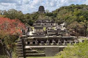 De San Ignacio: Viagem de um dia ao Parque Nacional de Tikal com almoço