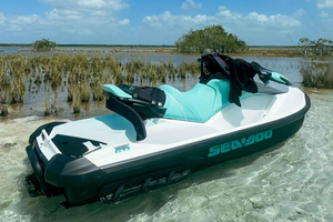 Jet ski sightseeing tour from the beautiful Bacalar Lagoon to the Hondo River, Belize