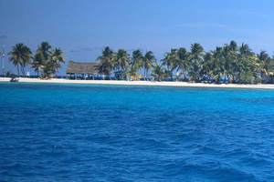 Belice: Esnórquel en Laughing Bird Caye