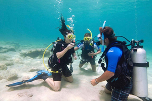 PADI Discover Scuba Diving: en la Reserva Marina de Hol Chan