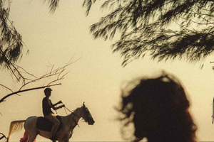 Placencia Beach: Guided Coastal Horseback Adventure