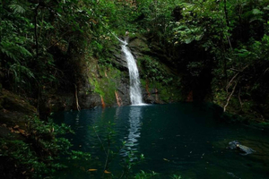 Placência: Caminhada na Bacia de Cockscomb e Rivertubing