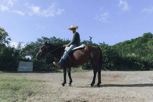 San Ignacio: Jungle & Riverside Horseback Riding Tour
